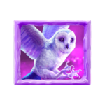 jack-frosts-winter-h-owl