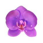 Butterfly Blossom - Symbol Purple Flower