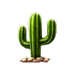 Cowboys - Cactus Symbol
