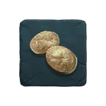 Legend of Perseus - Coin Symbol
