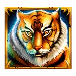 Tiger Warrior - Symbol Bengal Tiger