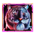 Tiger Warrior - Symbol Black Tiger