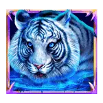 Tiger Warrior - Symbol Ice Tiger