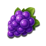 Fortune Pig - Grape Symbol