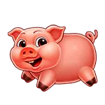 Fortune Pig - Pig Symbol