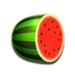 Fortune Pig - Watermelon Symbol