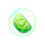 Fruity Candy - สัญลักษณ์พิเศษ ลูกกวาดสีเขียว
