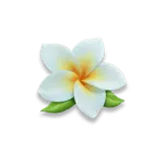 Hawaiian Tiki - White Flower Symbol
