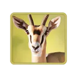 Safari Wilds - สัญลักษณ์พิเศษ กาเซลล์