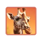 Safari Wilds - สัญลักษณ์พิเศษ ยีราฟ