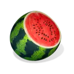 Ninja Raccoon Frenzy - Watermelon Symbol